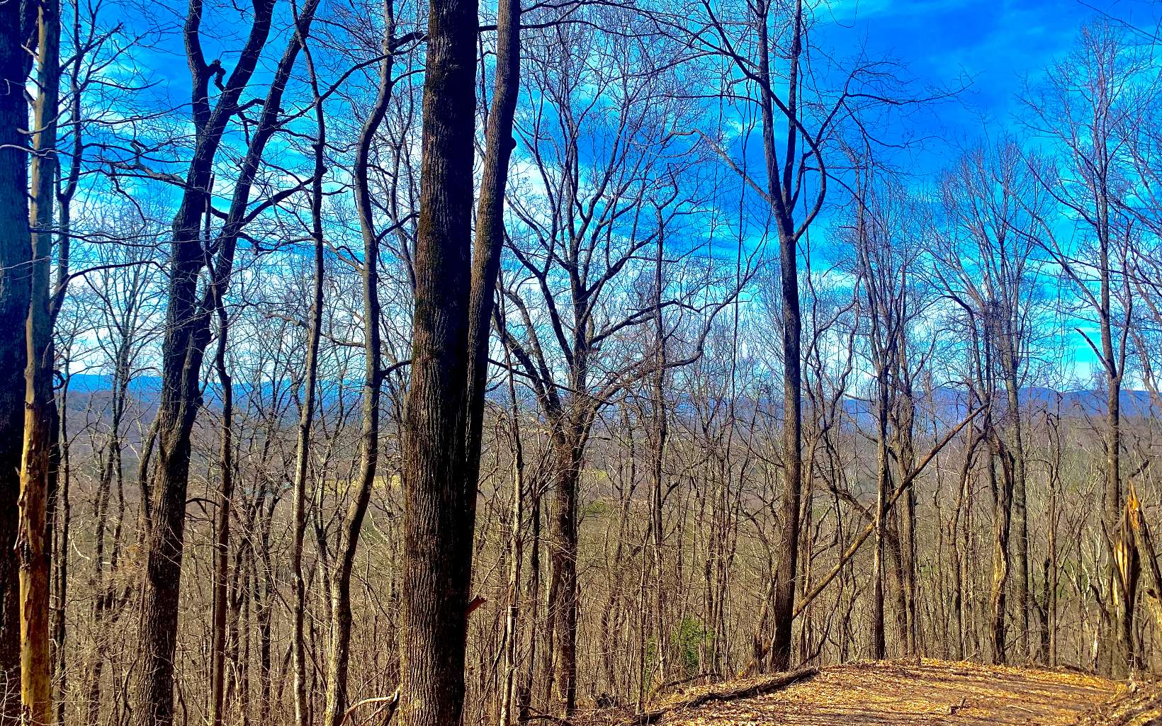 0 Mealer Road 40 Acres