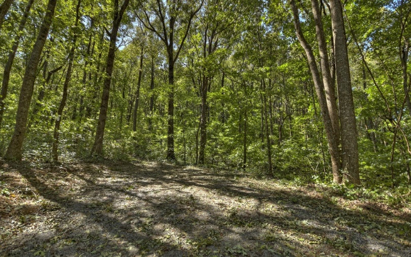 0 Mealer Road 40 Acres