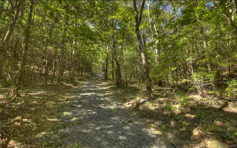 0 Mealer Road 40 Acres