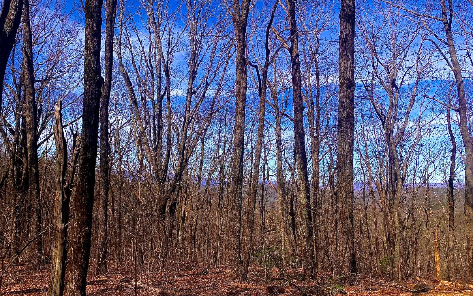 0 Mealer Road 40 Acres