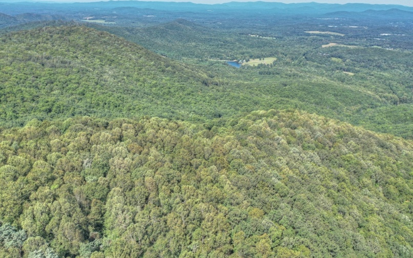 0 Mealer Road 40 Acres