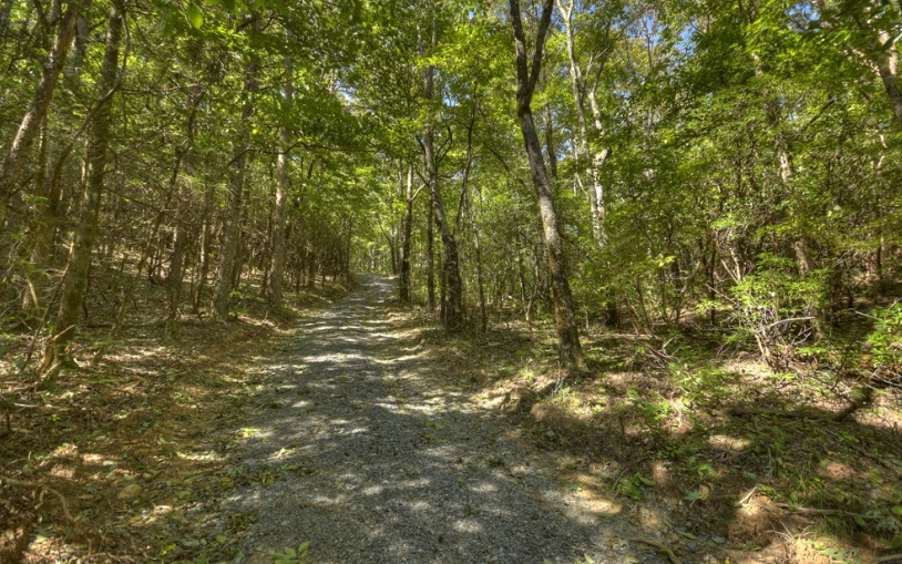 0 Mealer Road 40 Acres