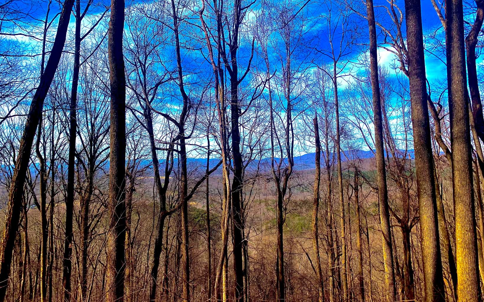0 Mealer Road 40 Acres