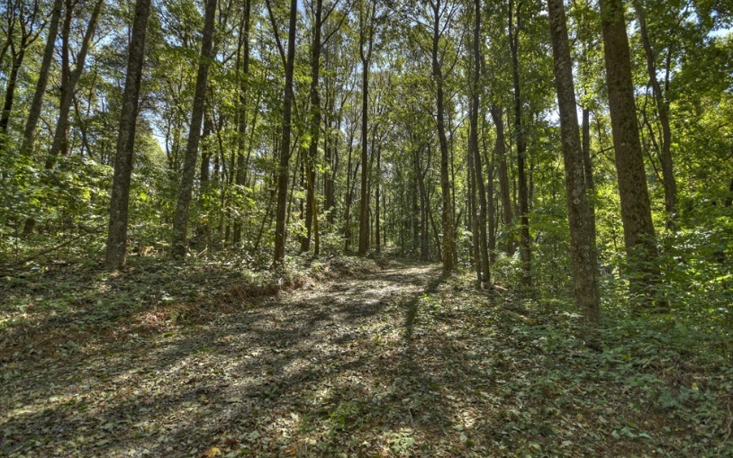 0 Mealer Road 40 Acres