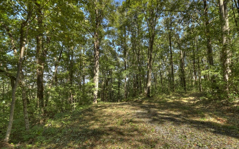0 Mealer Road 40 Acres