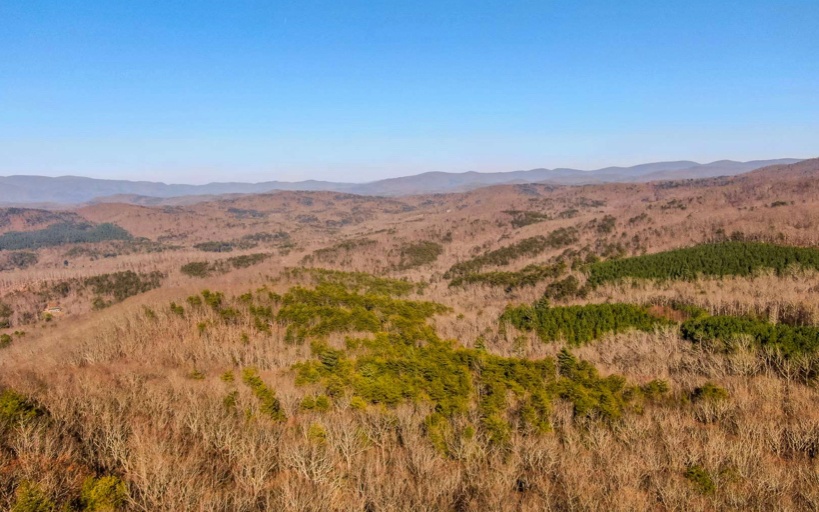 0 Mealer Road 40 Acres