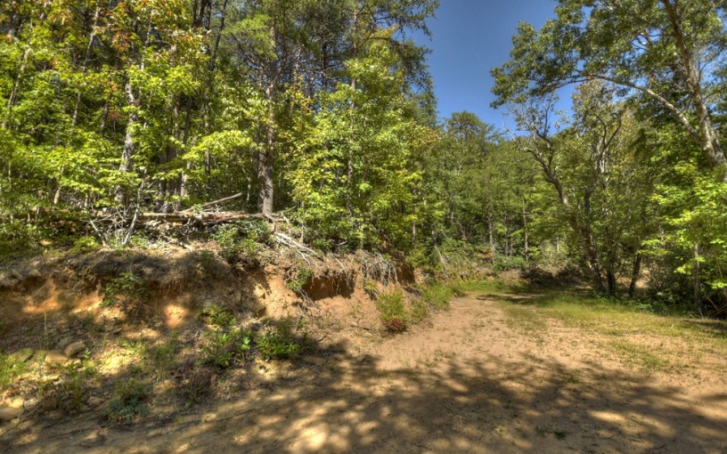 0 Mealer Road 40 Acres