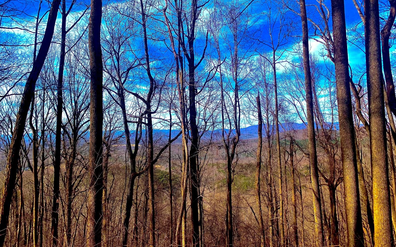 0 Mealer Road 40 Acres