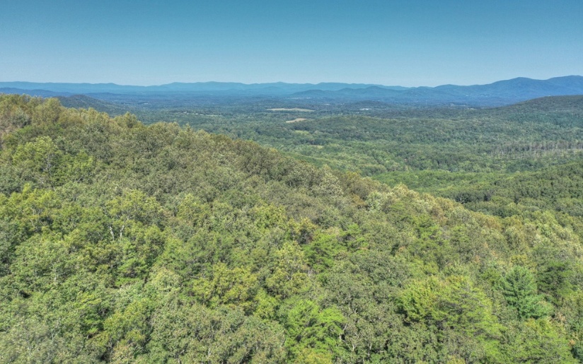 0 Mealer Road 40 Acres