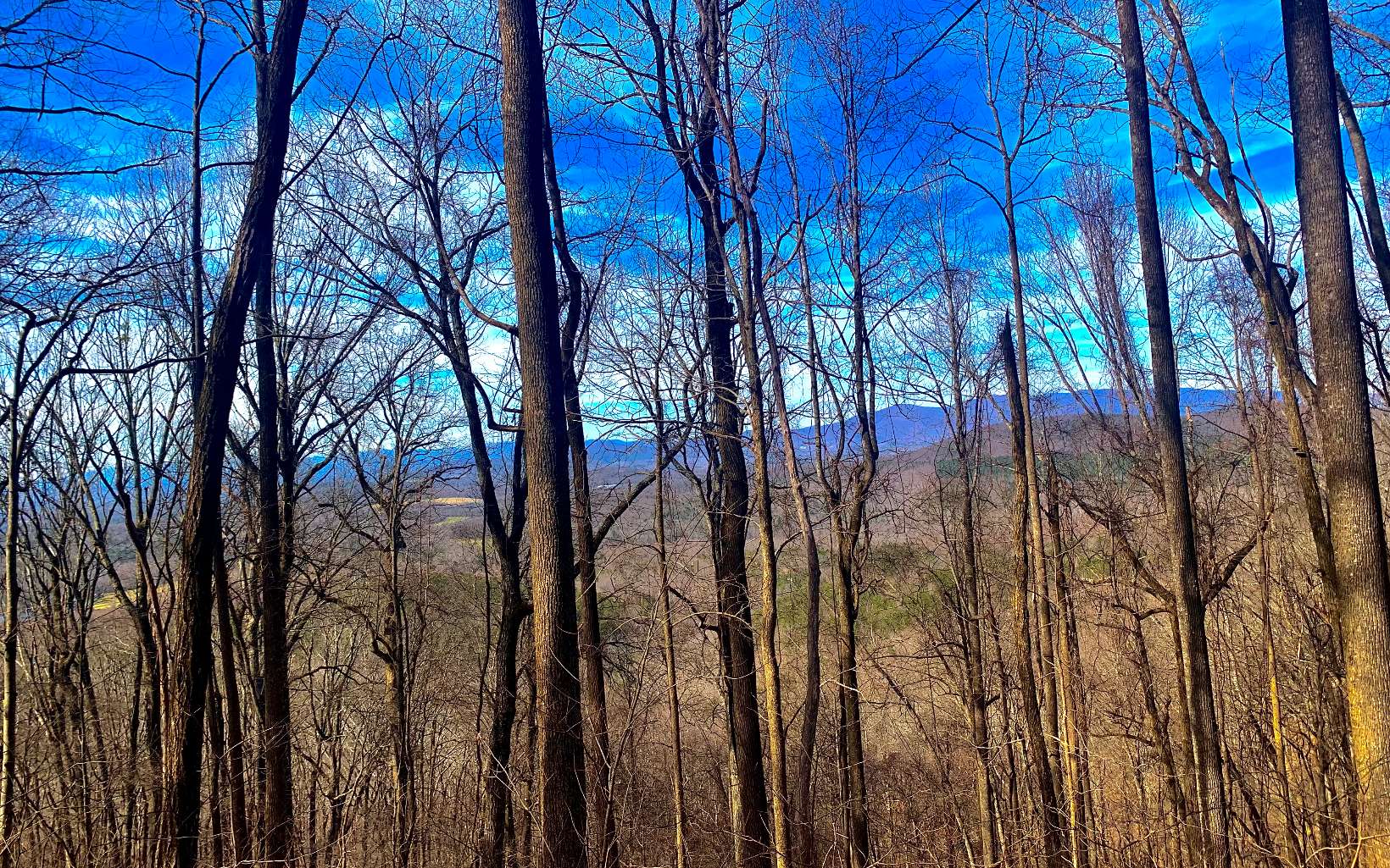 0 Mealer Road 40 Acres