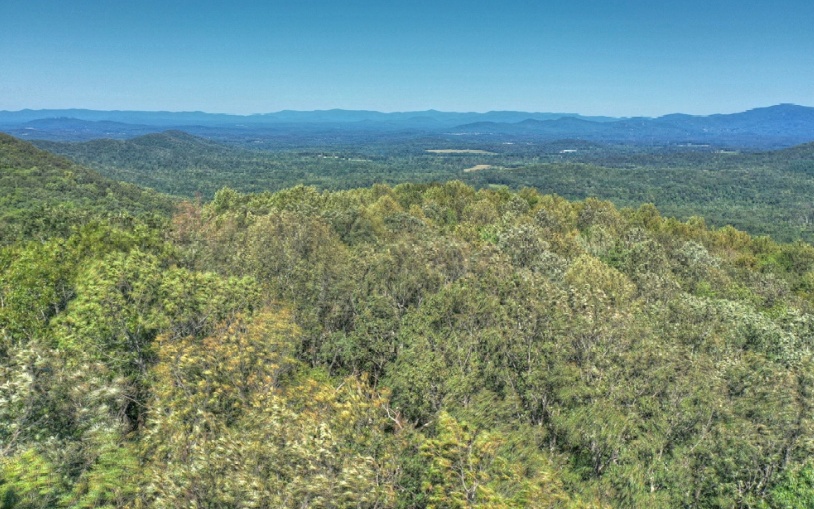 0 Mealer Road 40 Acres