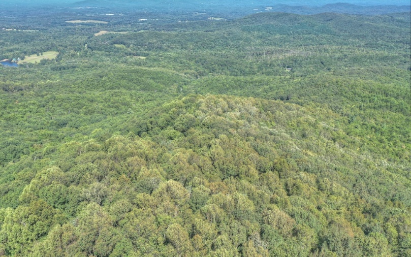 0 Mealer Road 40 Acres