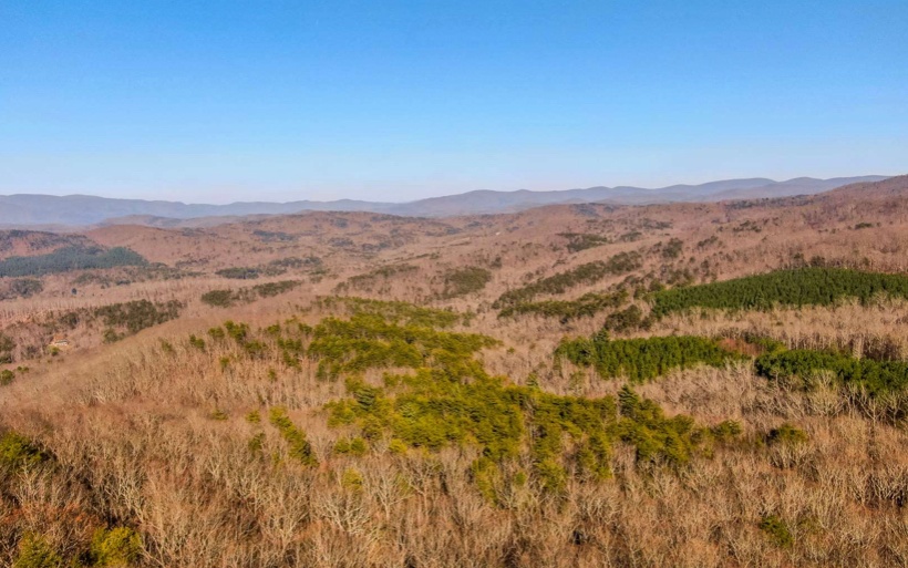 0 Mealer Road 40 Acres
