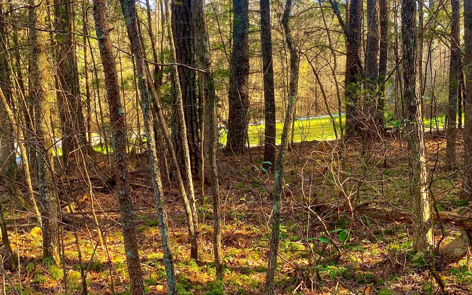 LT 11 Deer Walk Trail