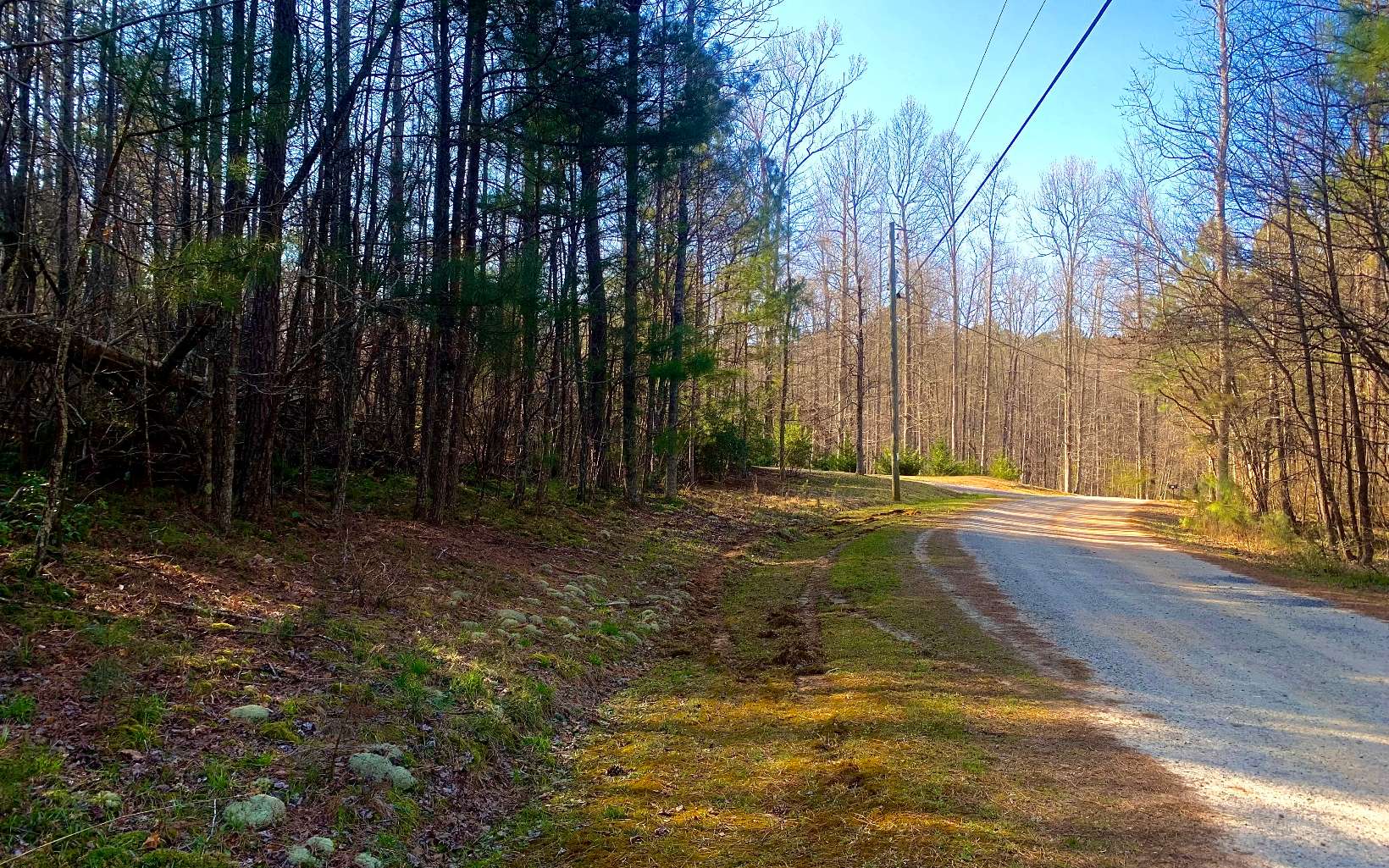 LT 11 Deer Walk Trail