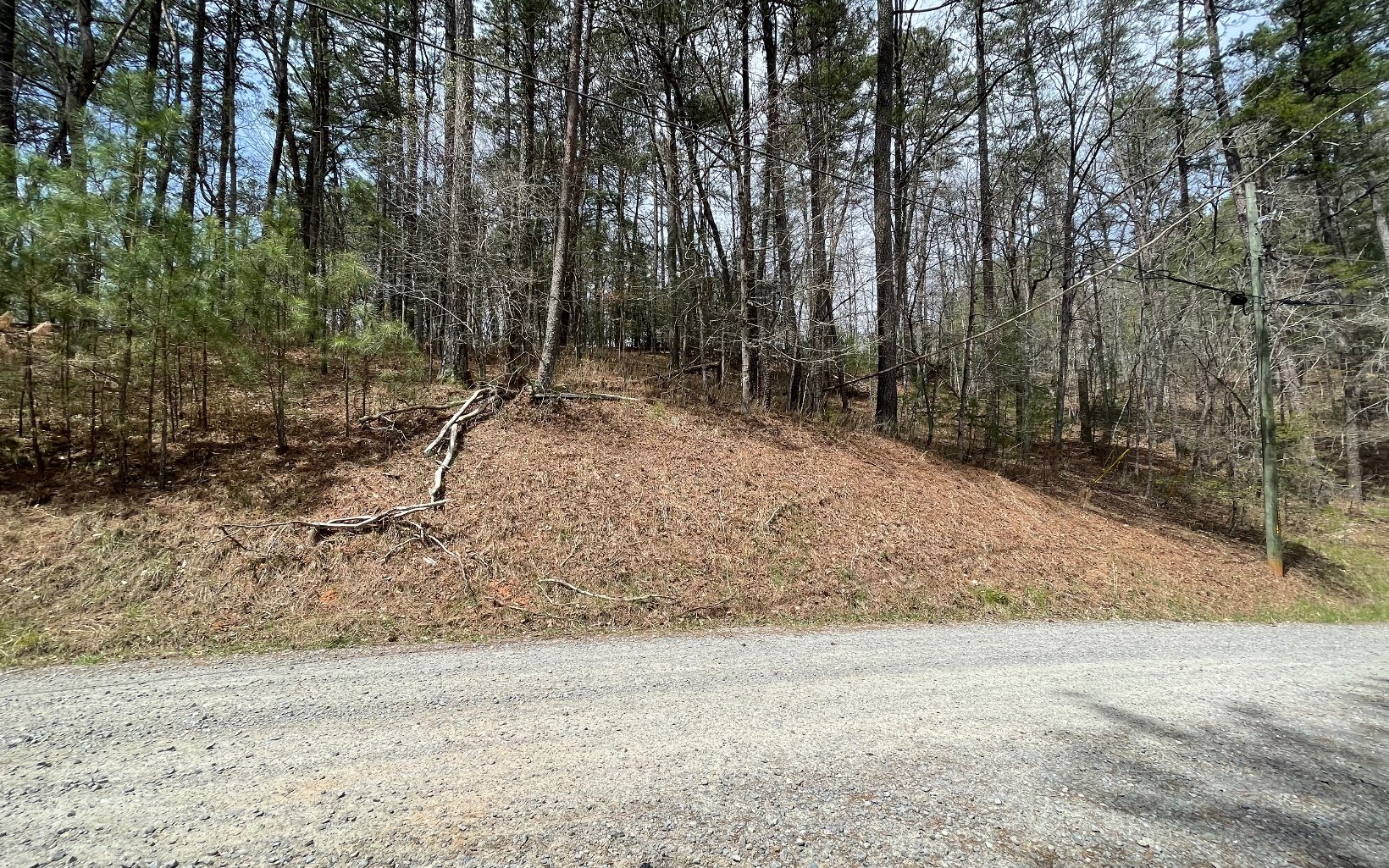 1 AC Lyric Lane