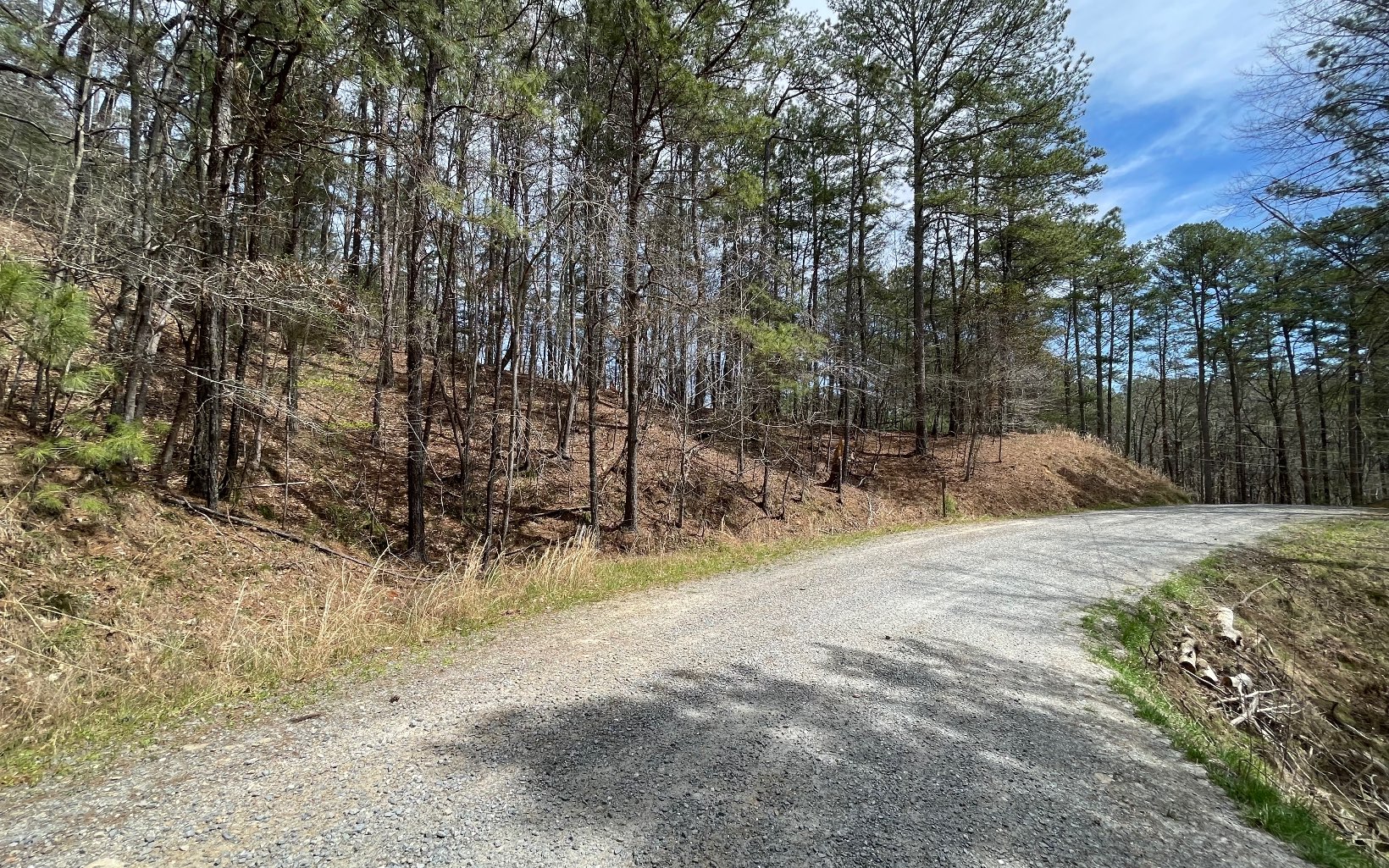 1 AC Lyric Lane