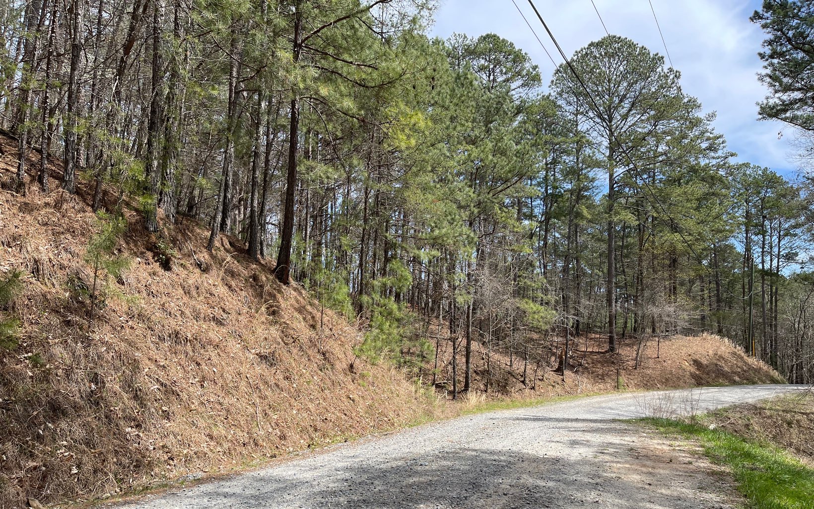 1 AC Lyric Lane