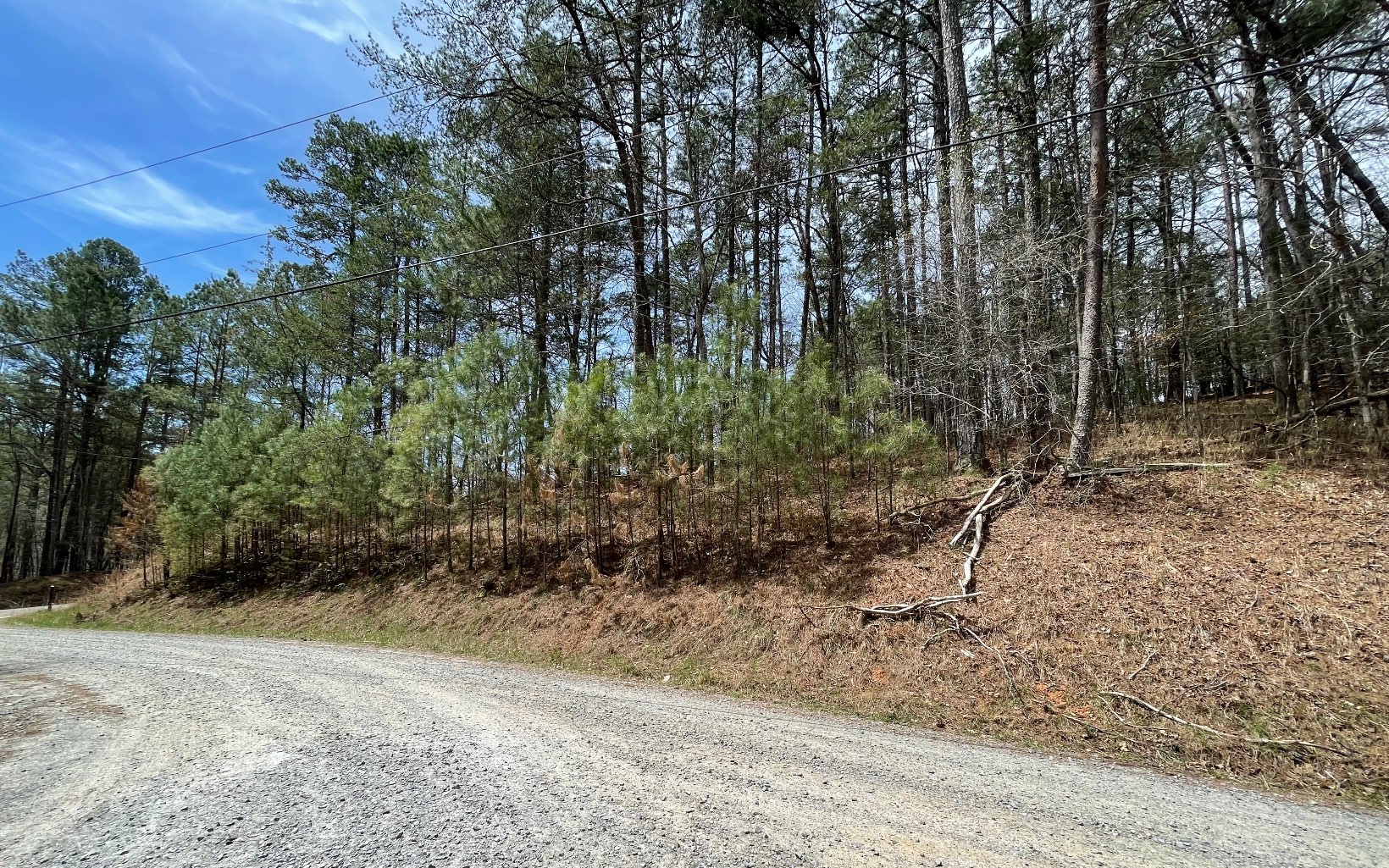 1 AC Lyric Lane