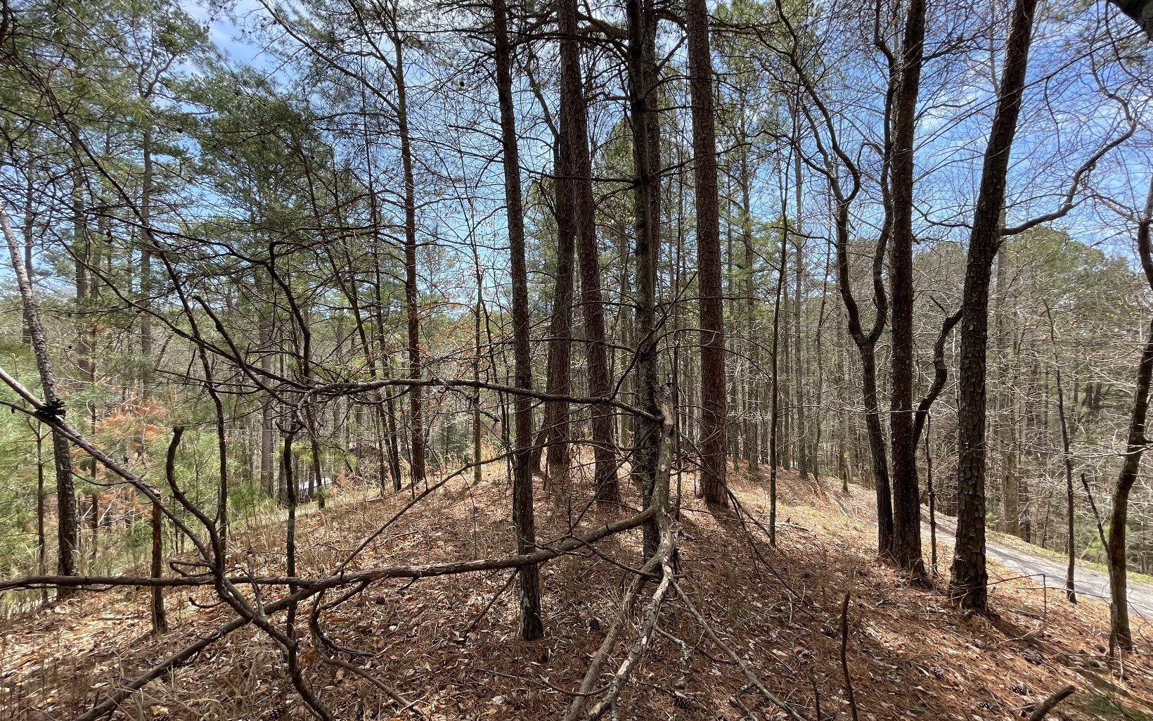 1 AC Lyric Lane