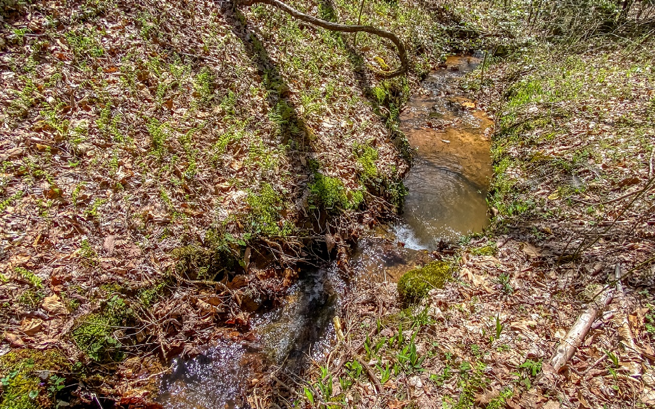 729 Poplar Hollow Road