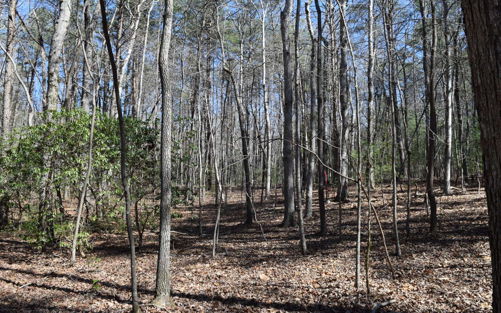 4.38A Tickanetley Road