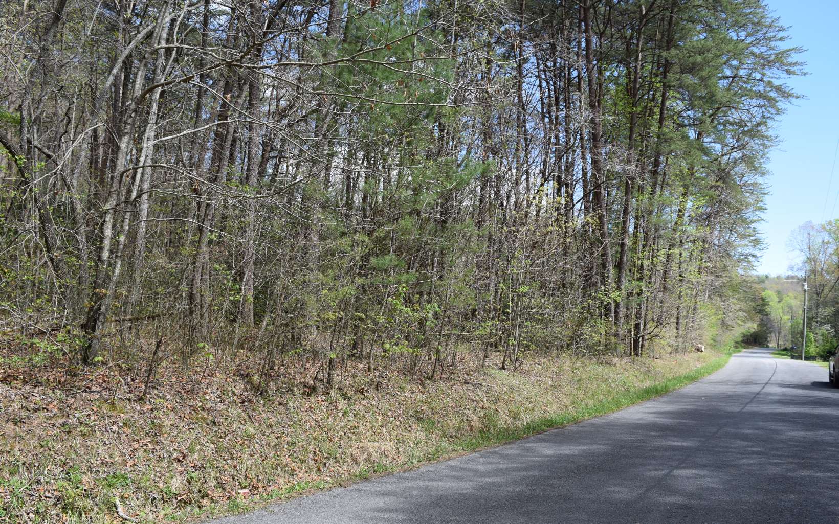 4.38A Tickanetley Road