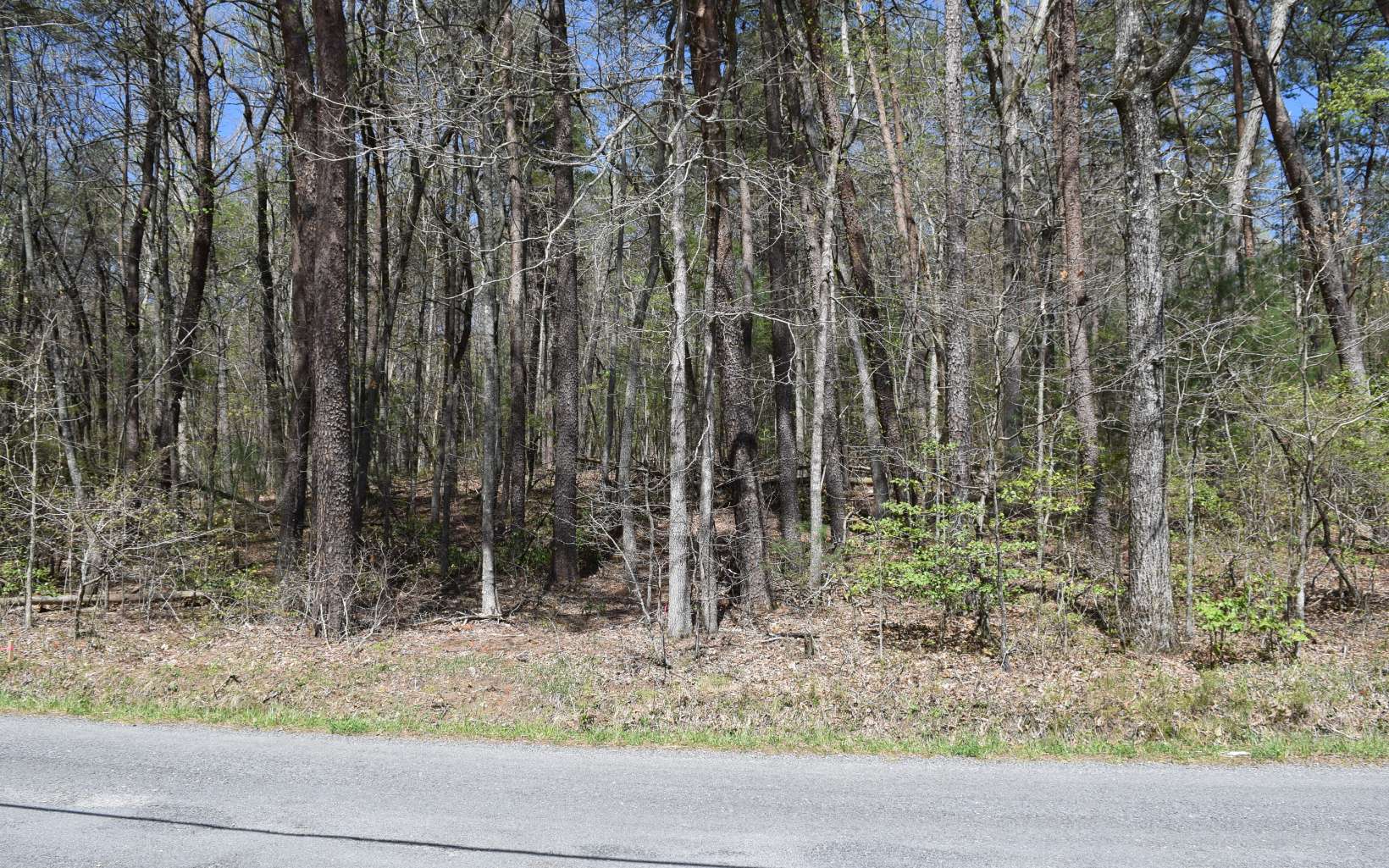 4.38A Tickanetley Road