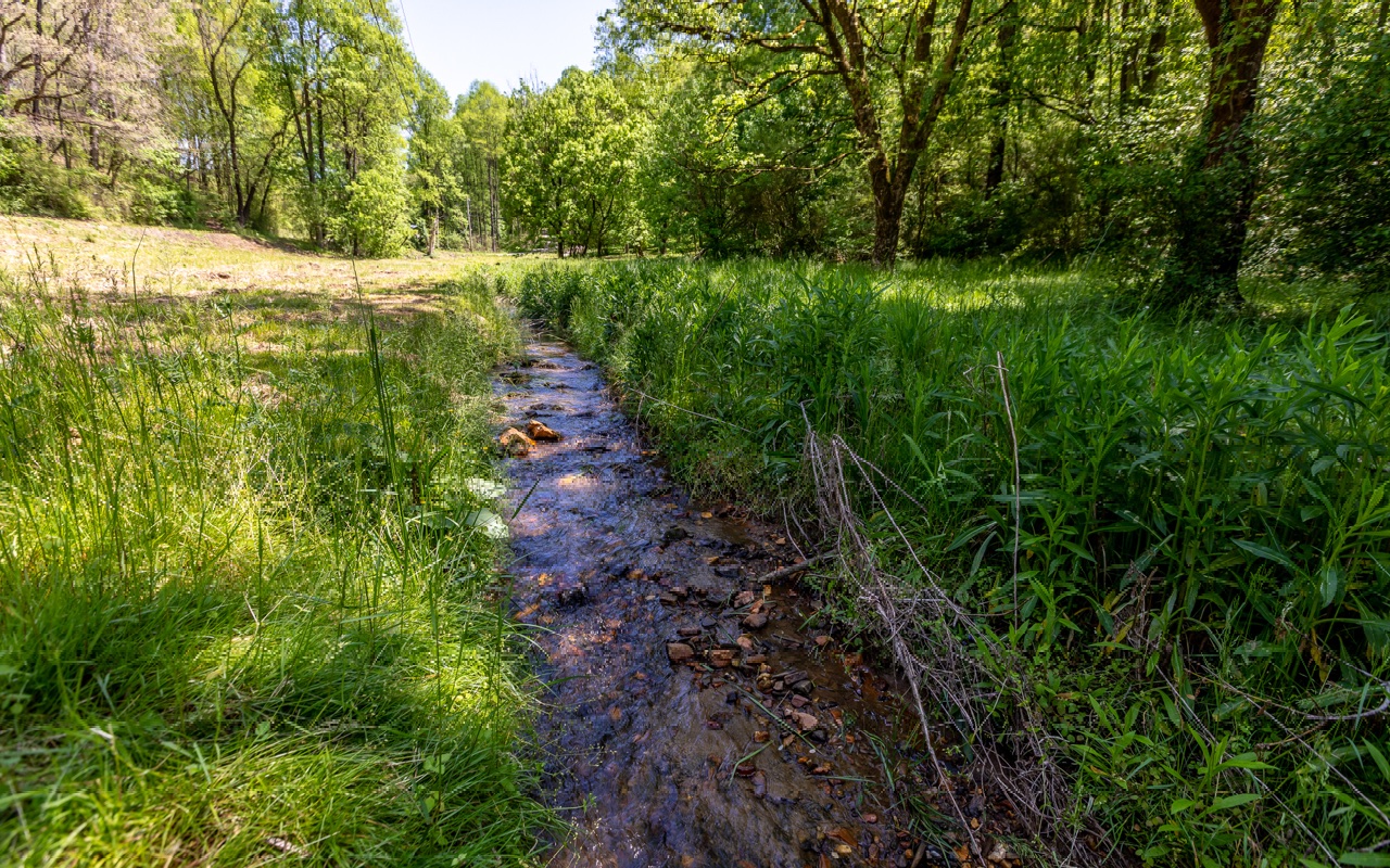 322 Harold Pritchett Road
