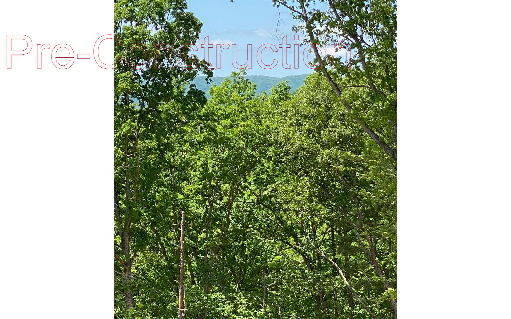 3308 Cameo Court