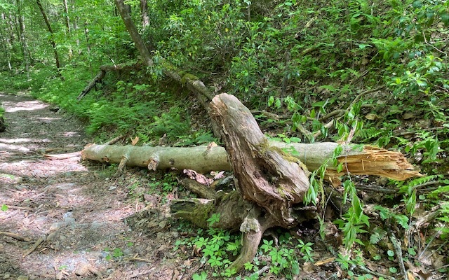 Hardslate Road