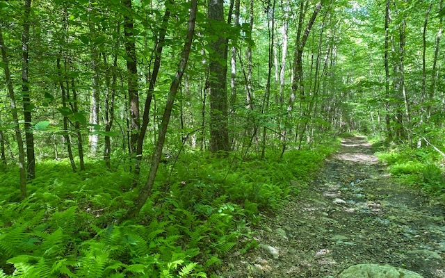 Hardslate Road