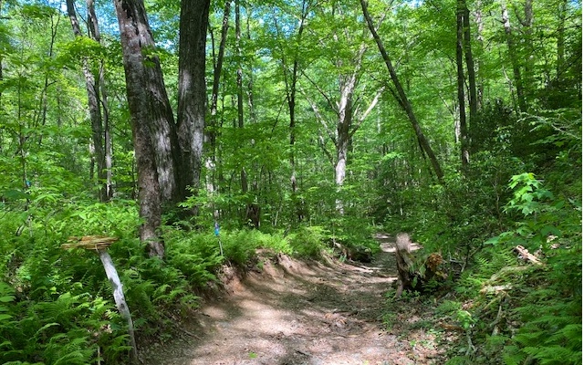 Hardslate Road