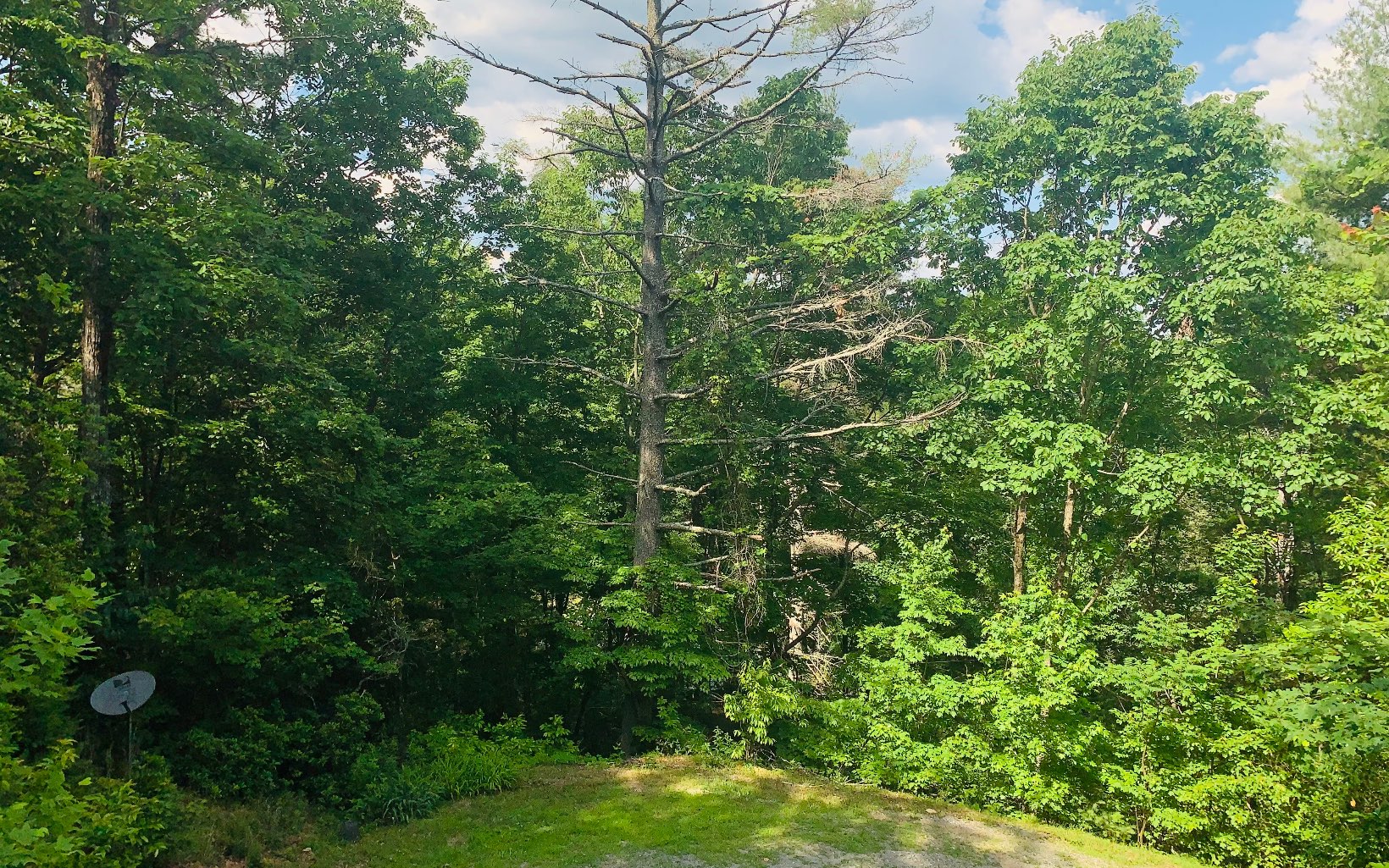 338 Canter Court