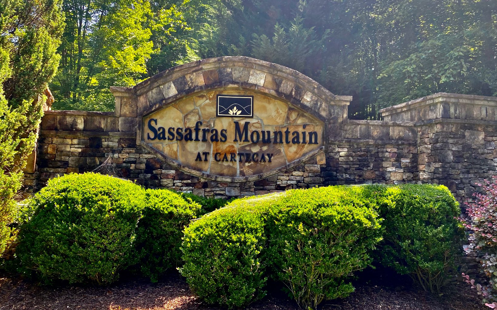 242 Foxpaw Leaf Court