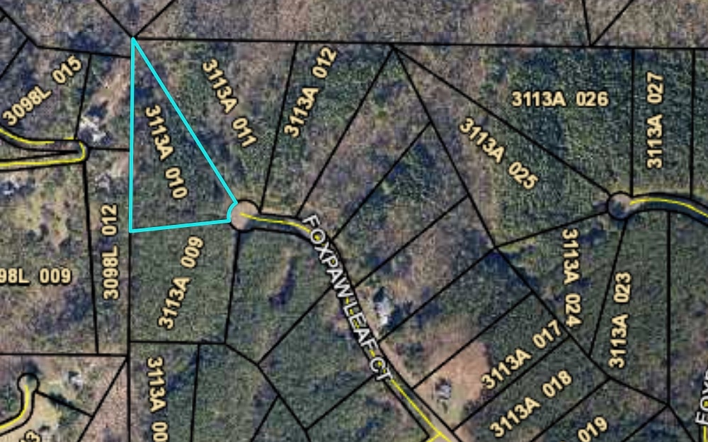 242 Foxpaw Leaf Court