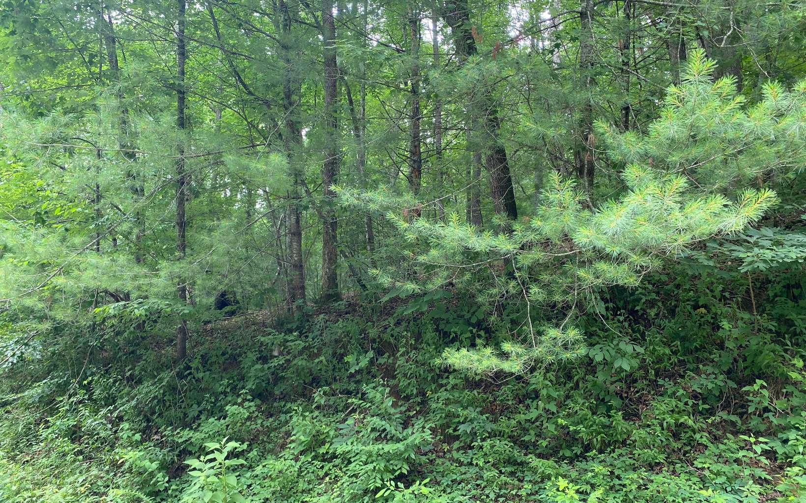 Graham Ct Lot 3770