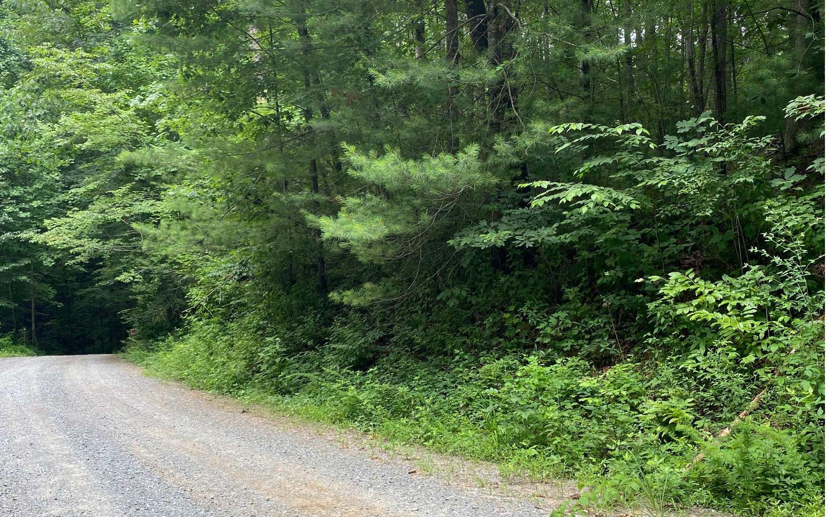 Graham Ct Lot 3770