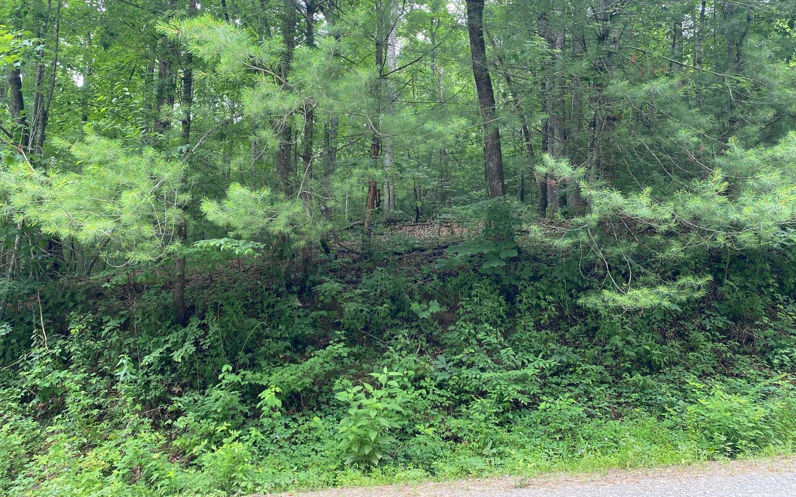 Graham Ct Lot 3770
