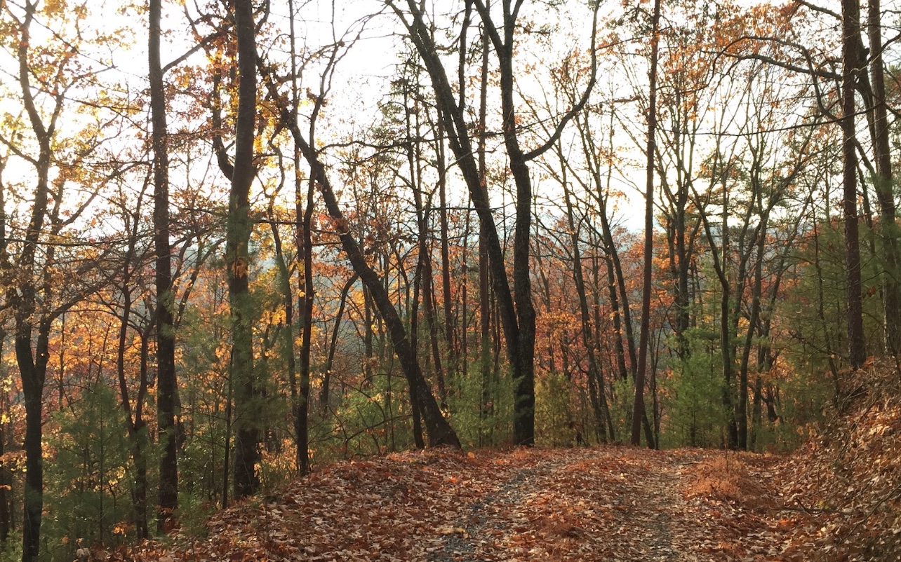 837 Douglas Mountain Trail