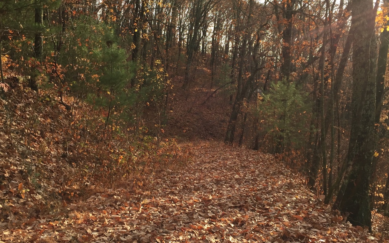 837 Douglas Mountain Trail