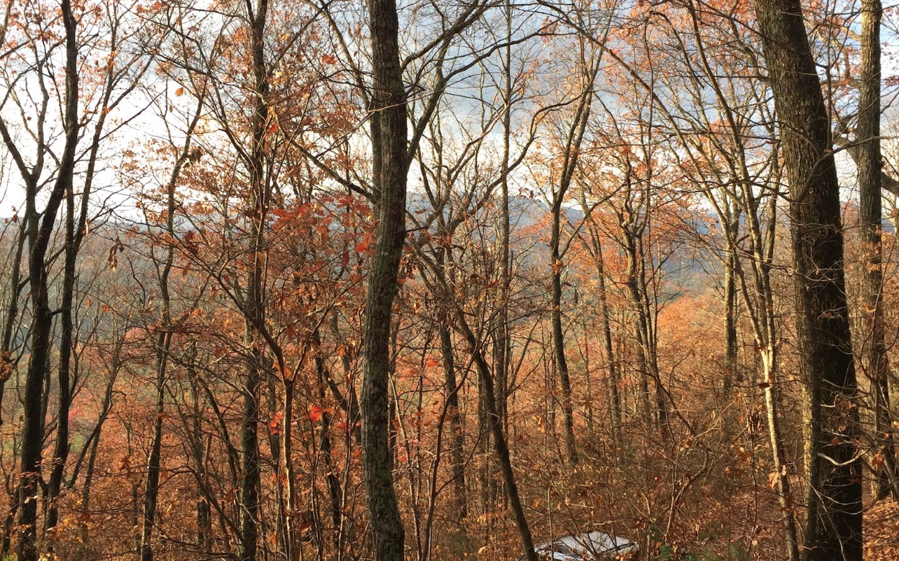 837 Douglas Mountain Trail