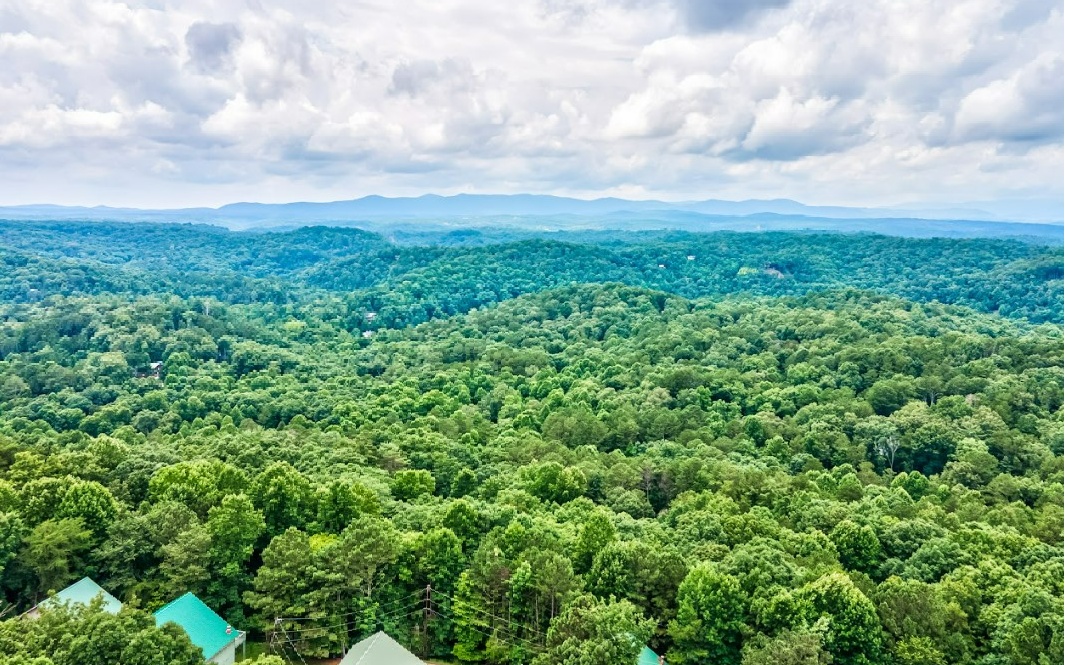 1503 Garnet Drive