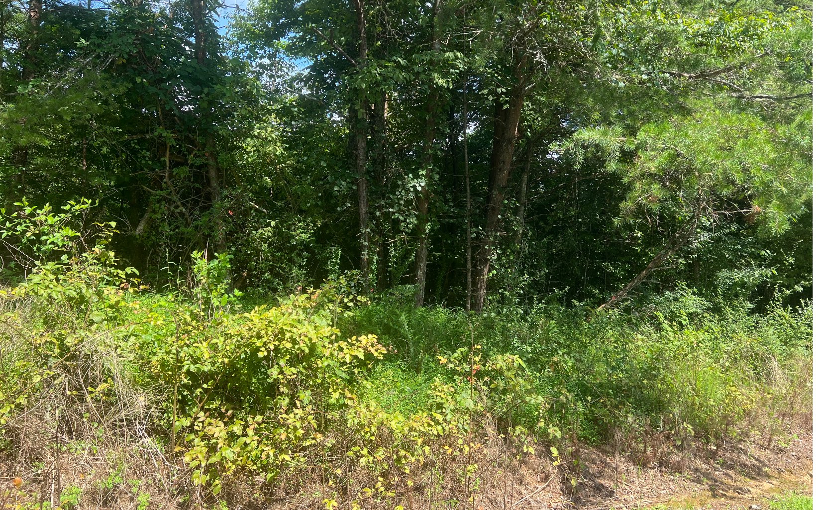 LOT 8 Old Orchard Road