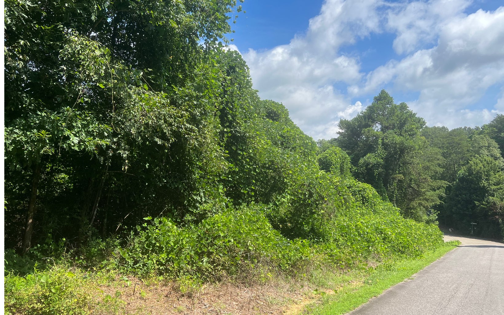 LOT 8 Old Orchard Road