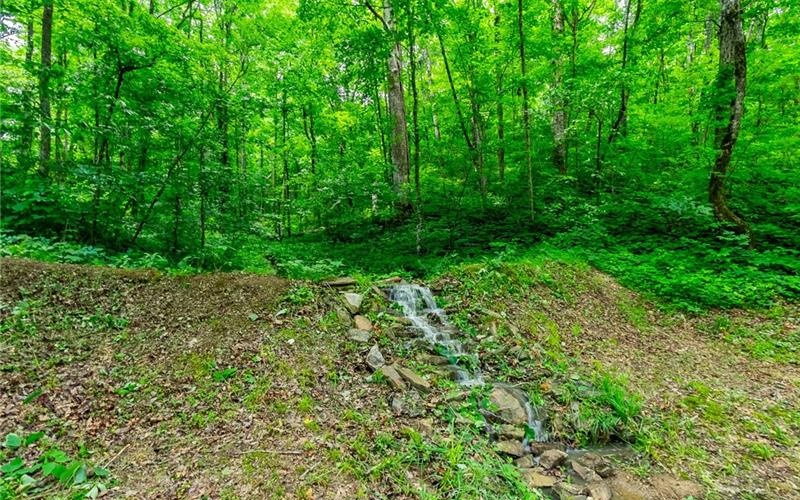 2157 Lumber Company Road