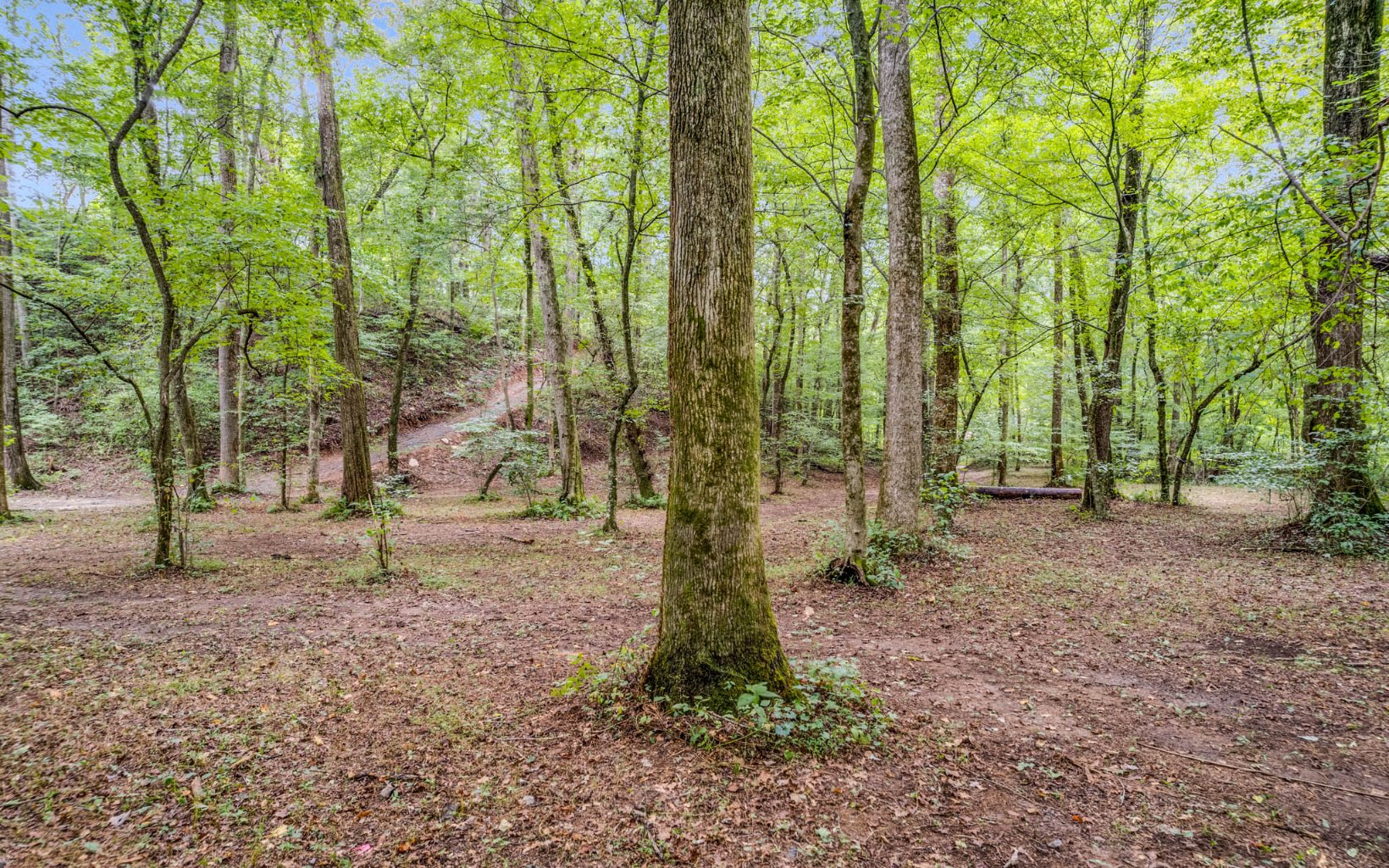 432 Licklog Road