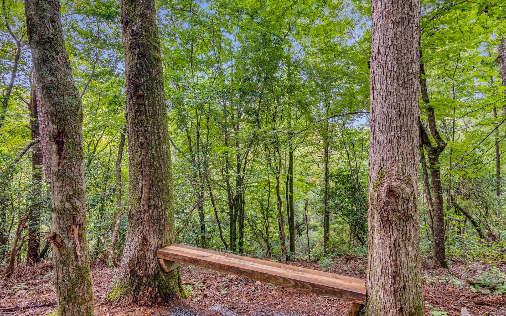 432 Licklog Road