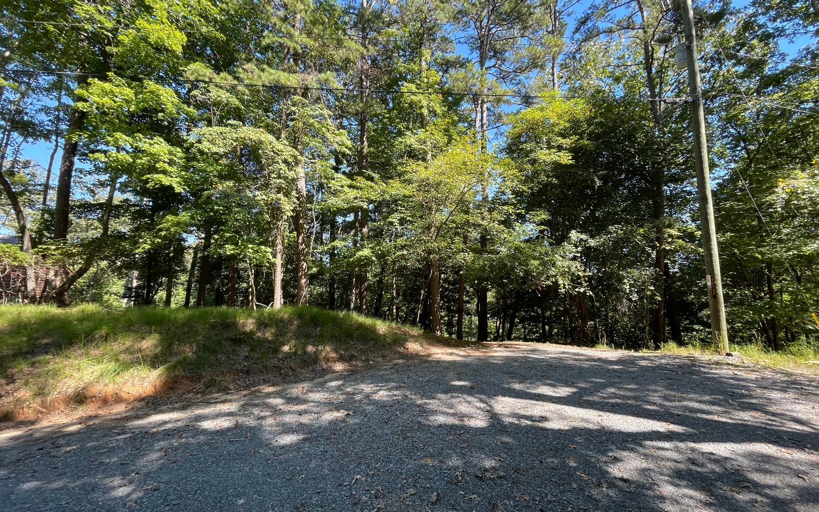 2424 Opaque Way