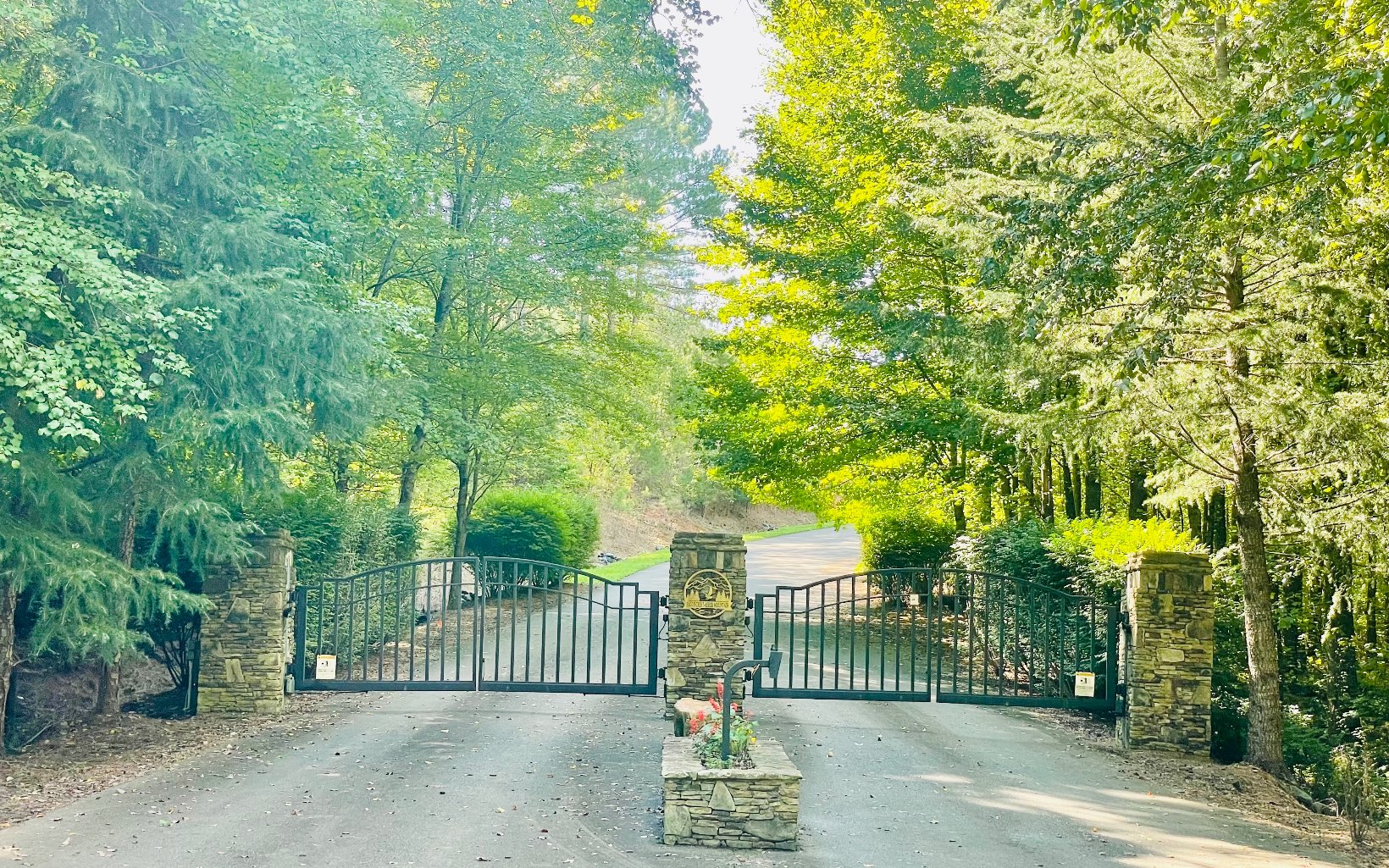 E11 Reece Mountain Road